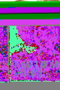  Продлись, продлись, очарованье... 